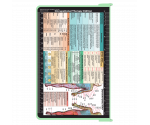 WhiteCoat Clipboard® - Mint Occupational Therapy Edition